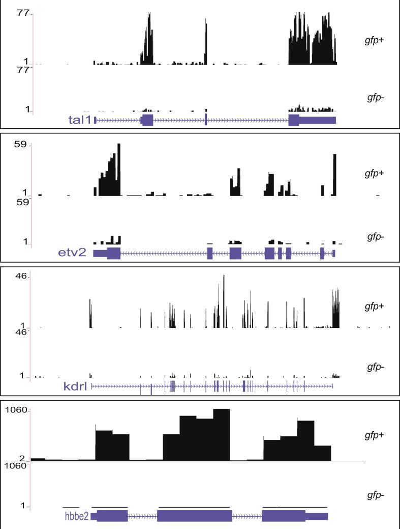 Supplementary Fig. 2