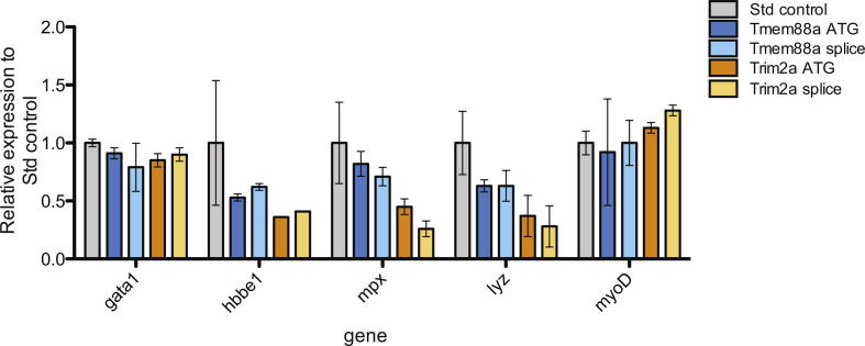 Supplementary Fig. 6