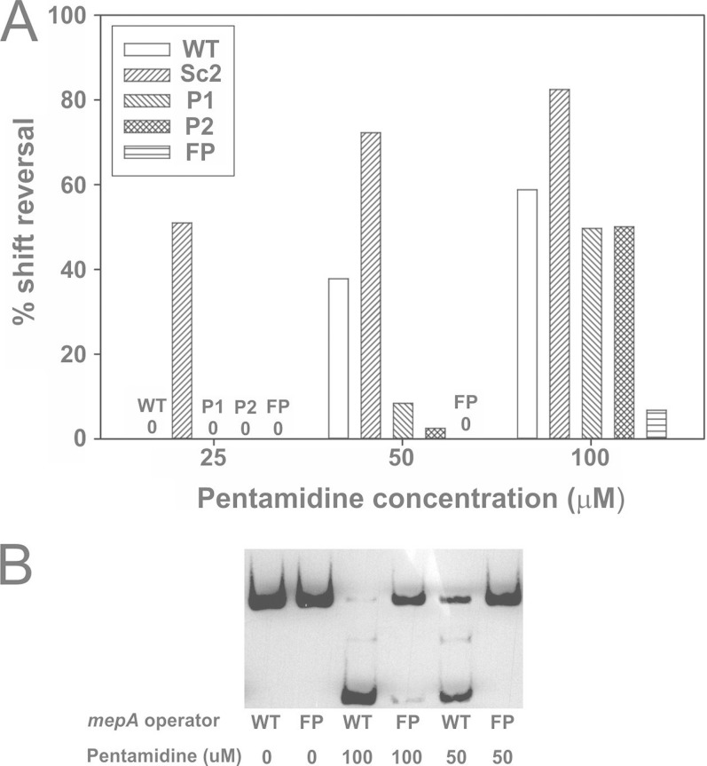 FIG 6