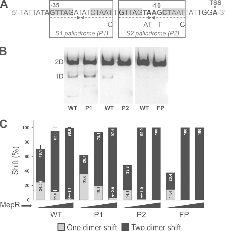 FIG 4