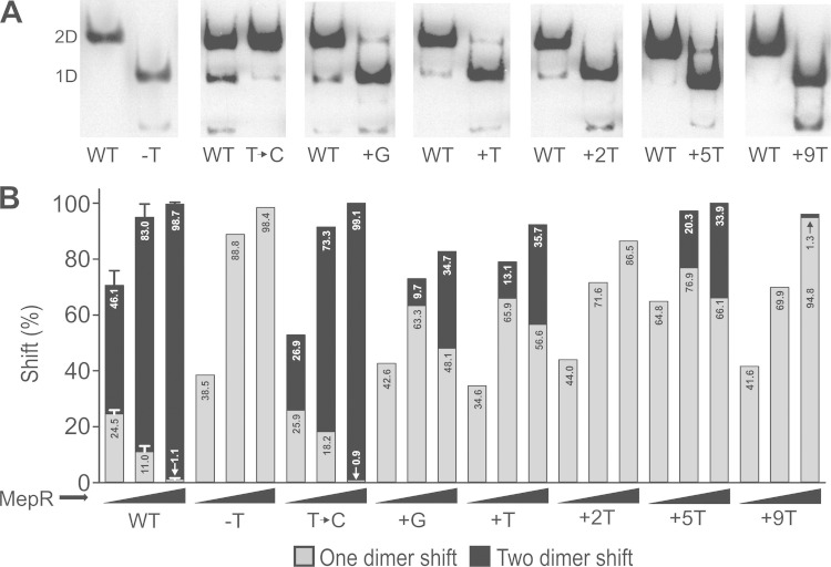 FIG 2