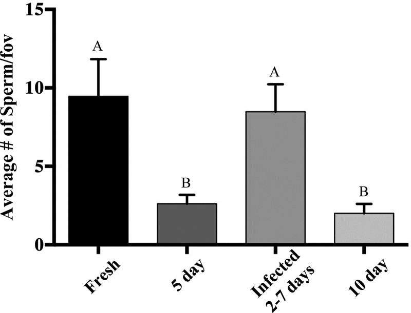 Figure 4: