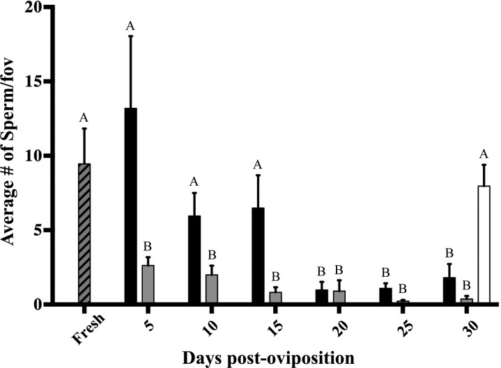 Figure 3: