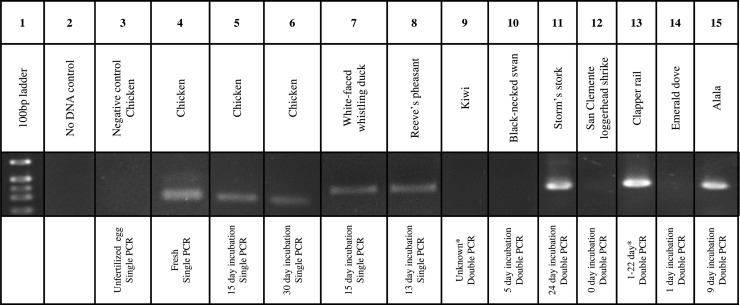 Figure 6: