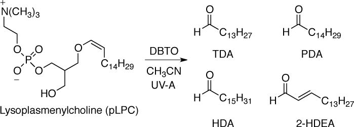 SCHEME 3