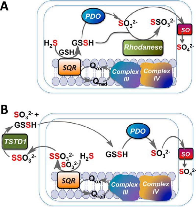 Figure 9.