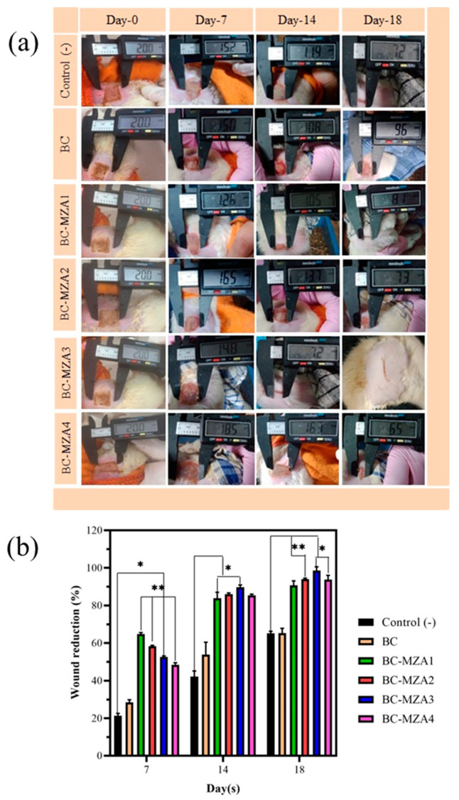 Figure 6