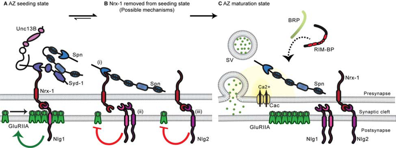 Figure 6.