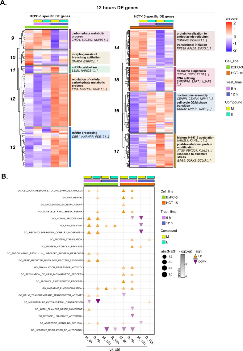 Figure 2—figure supplement 2.