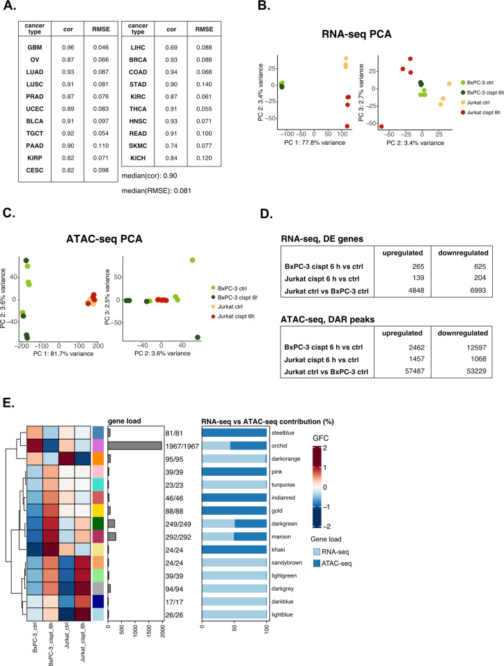 Figure 6—figure supplement 2.