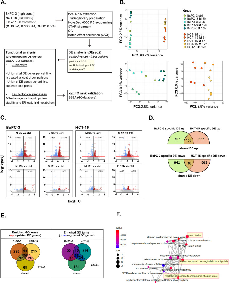 Figure 2—figure supplement 1.