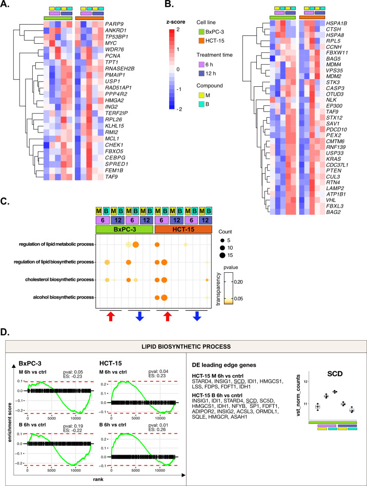 Figure 3—figure supplement 1.