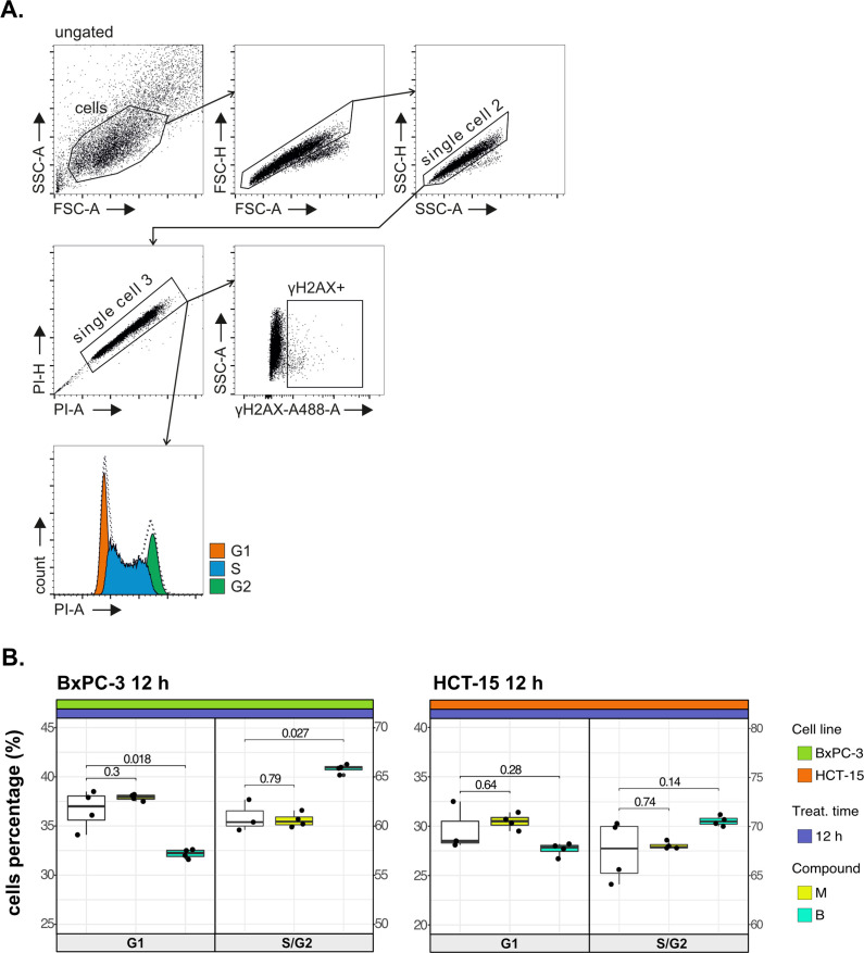 Figure 1—figure supplement 1.