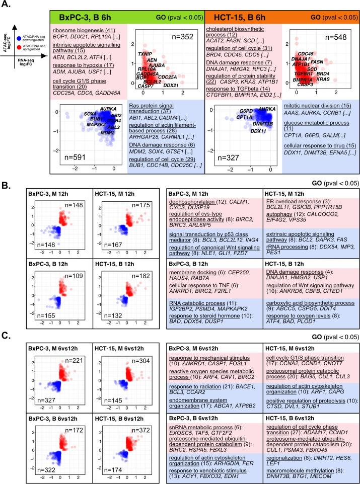 Figure 4—figure supplement 2.