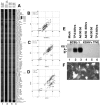 FIG. 6.