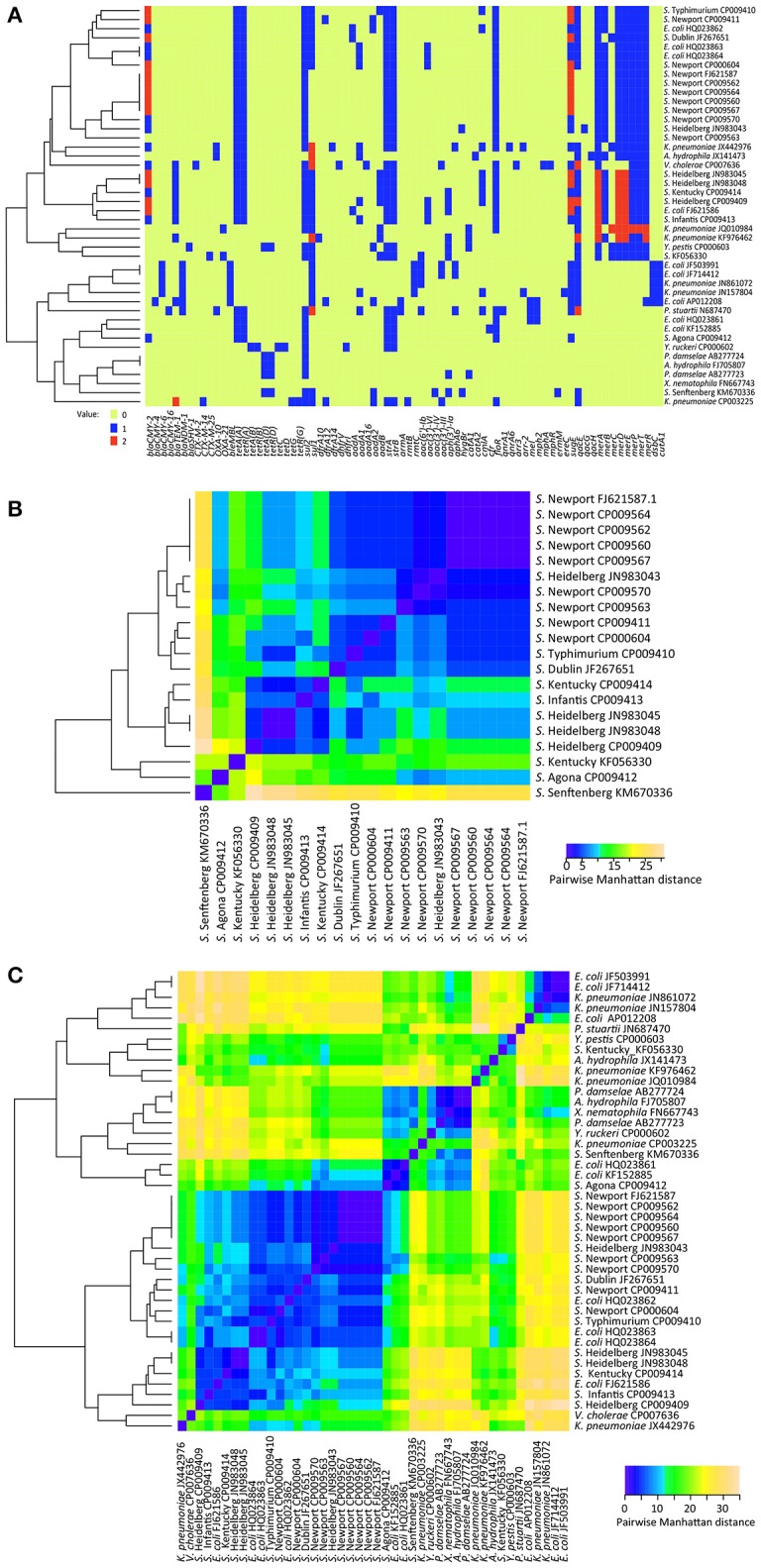 Figure 2