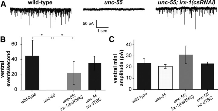 Figure 7.