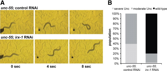 Figure 5.