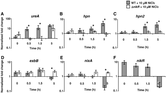 Figure 5.