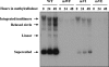 FIG. 10.