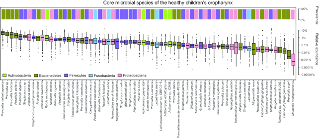 Figure 3: