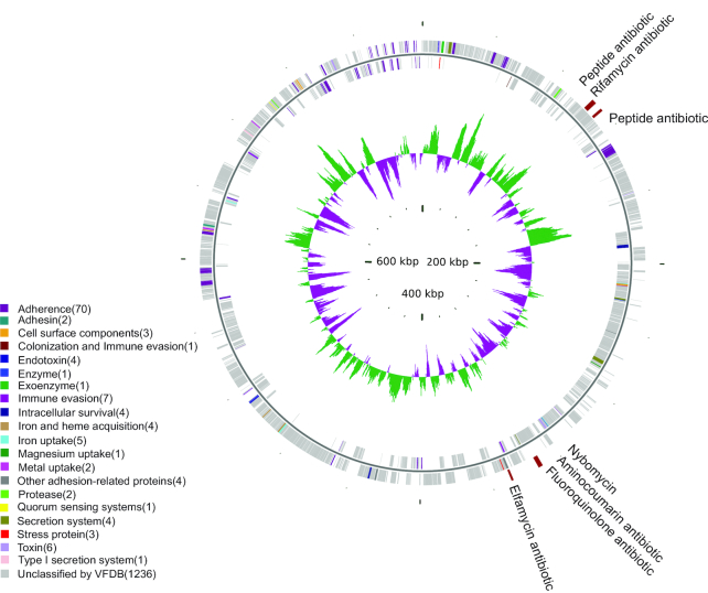 Figure 6: