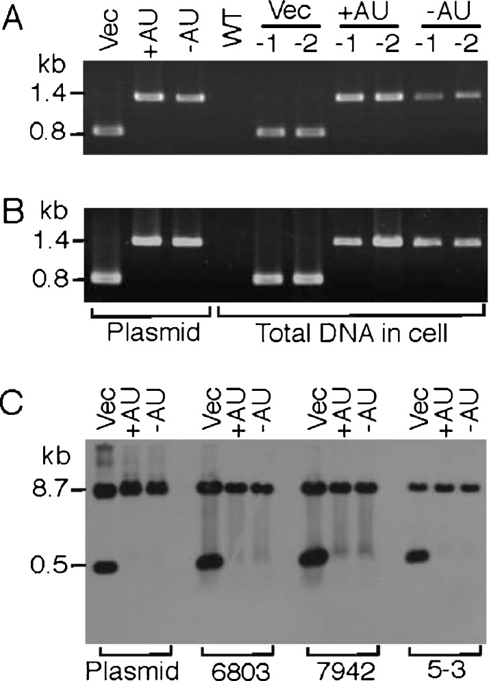 Fig. 8