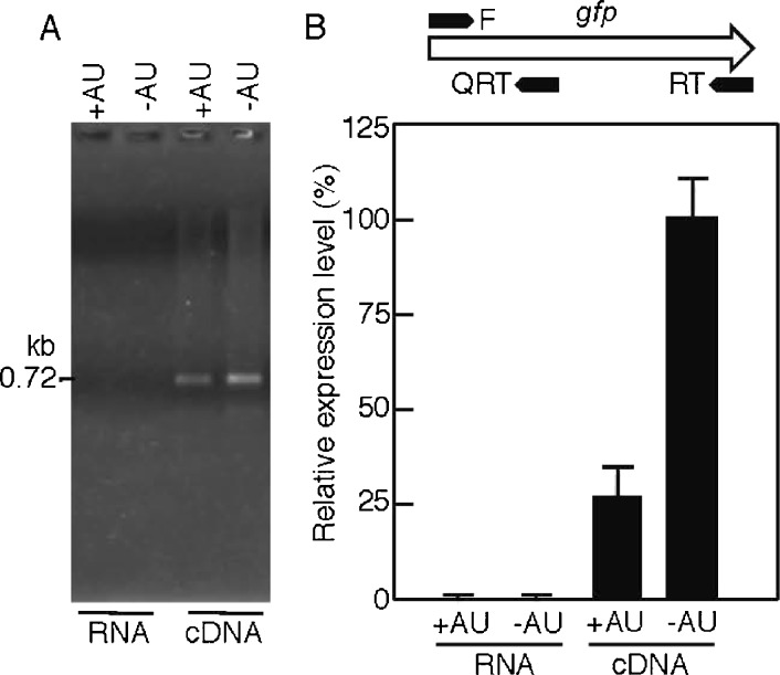 Fig. 9