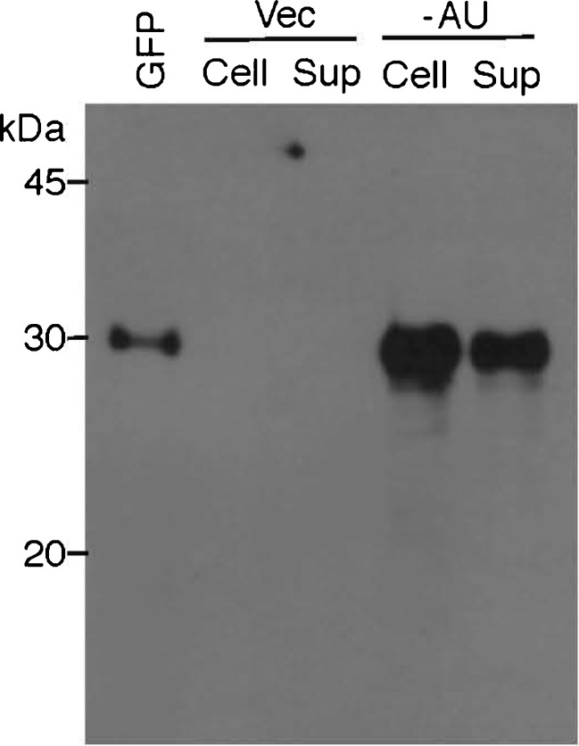 Fig. 11