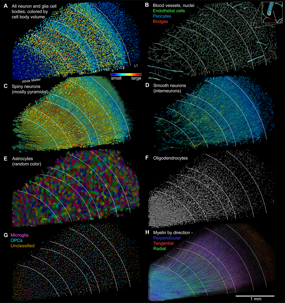 Figure 4: