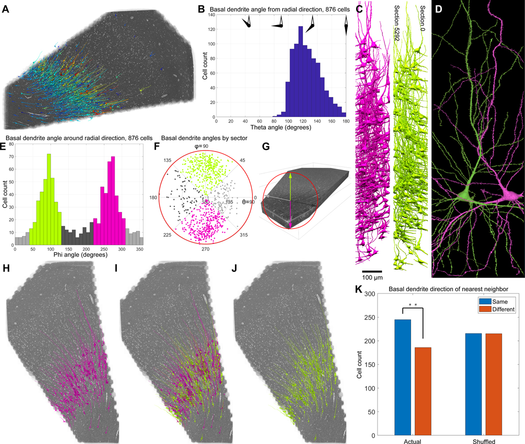 Figure 6: