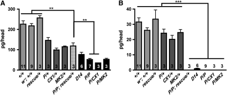 Figure 3.—