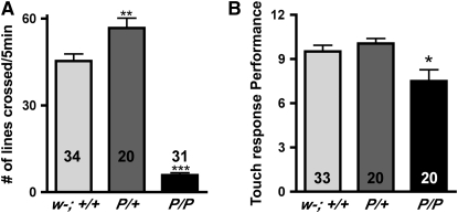 Figure 6.—