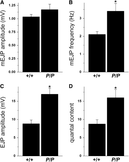 Figure 7.—