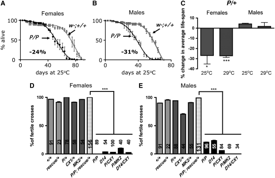 Figure 4.—