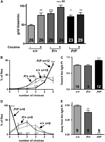 Figure 10.—