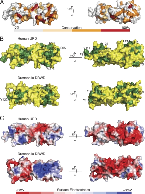 FIGURE 4.