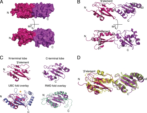 FIGURE 2.