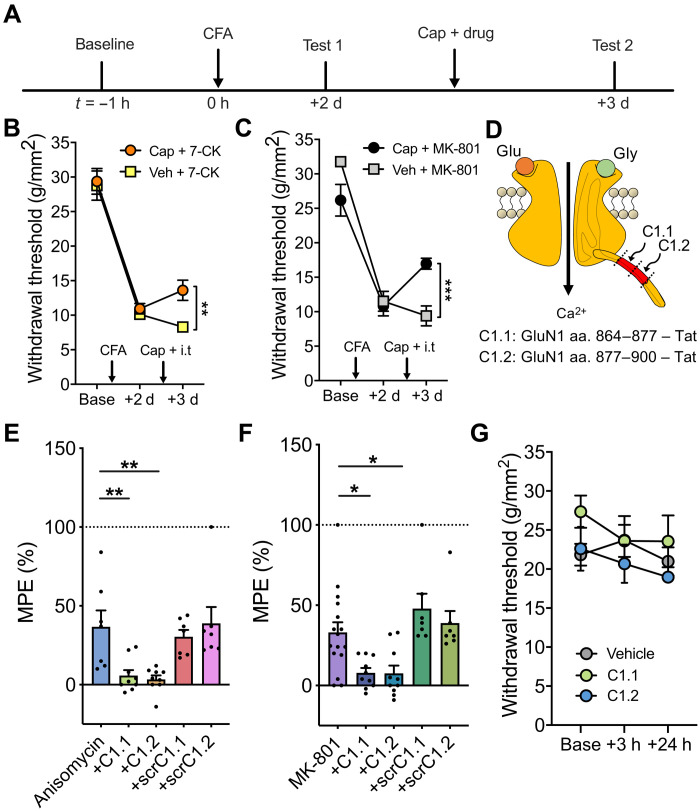 Fig. 2.