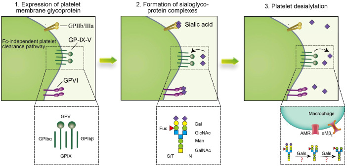 Figure 3