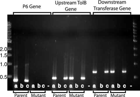 FIG. 3.