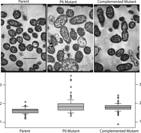 FIG. 5.