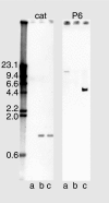FIG. 2.