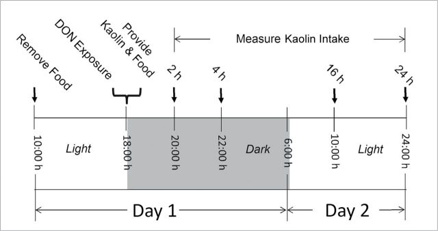 FIG. 2.