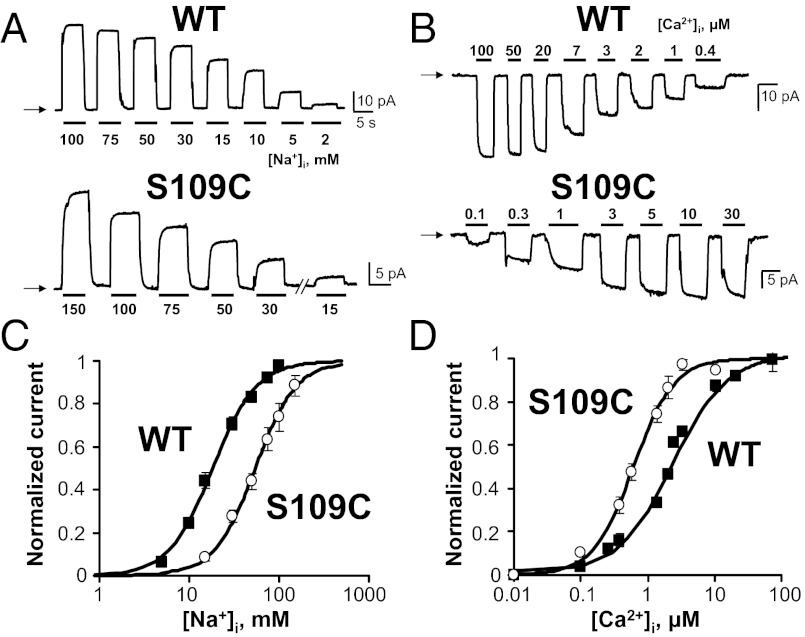 Fig. 2.