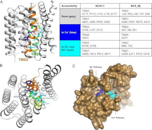 Fig. 6.