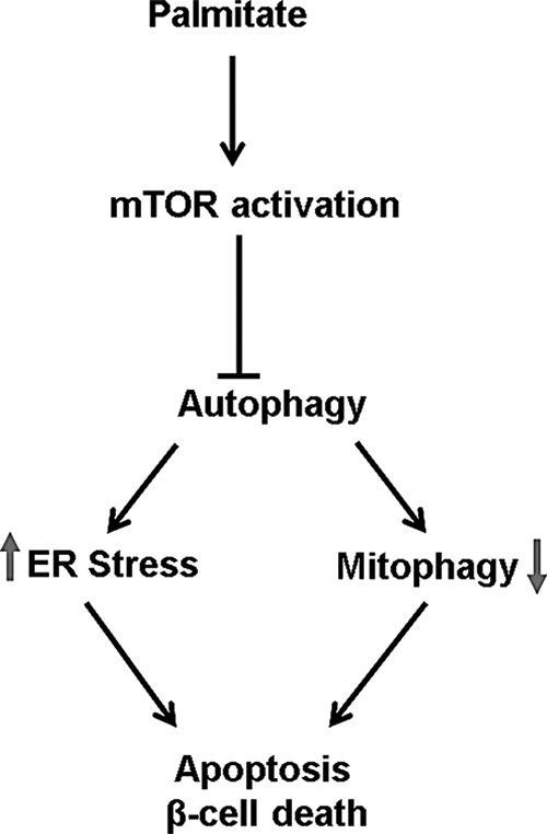 FIGURE 10.