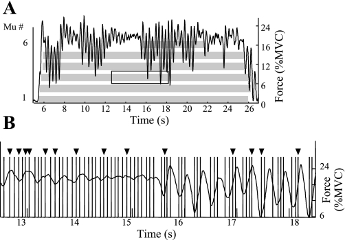 Fig. 12.