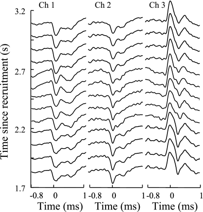 Fig. 10.