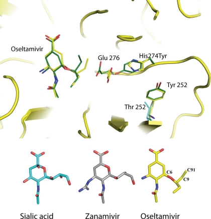 FIGURE 4.